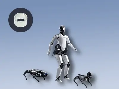 Rare Earth Magnet Portal - robotics application featuring humanoid robots, robotic dogs, and ring NdFeB magnets
